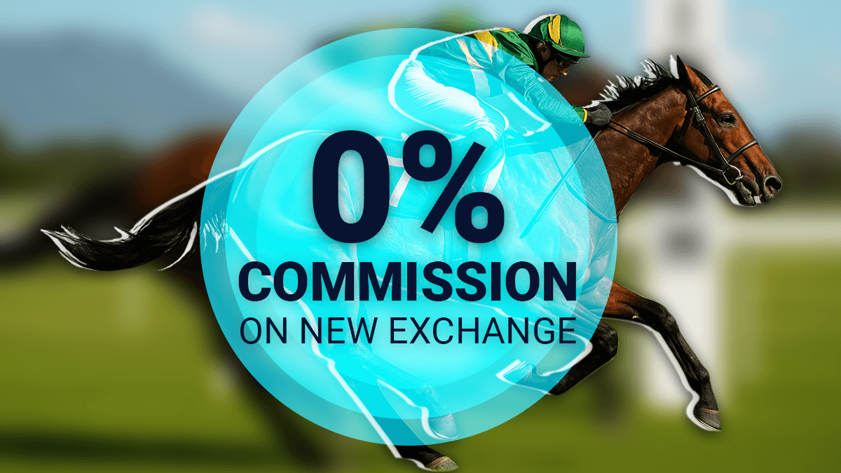New Exchange Horse Racing