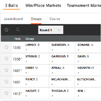 Interbet Golf Arena Groups
